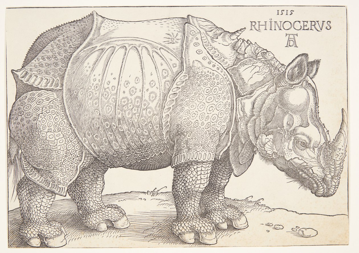 Sarvikuono tekijältä Albrecht Dürer