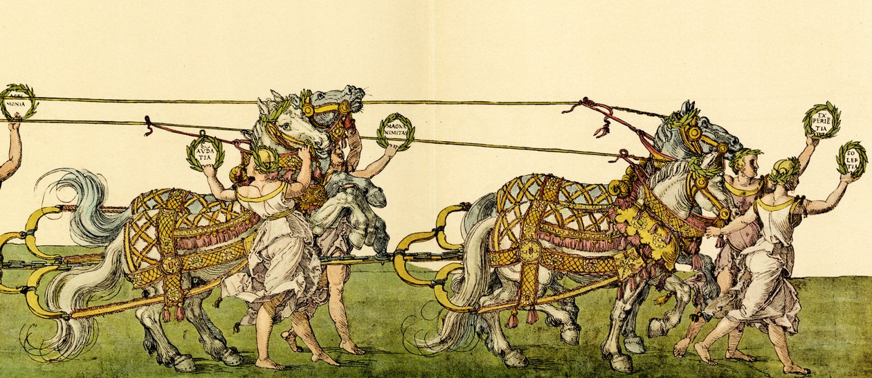 Riemuvaunut tekijältä Albrecht Dürer