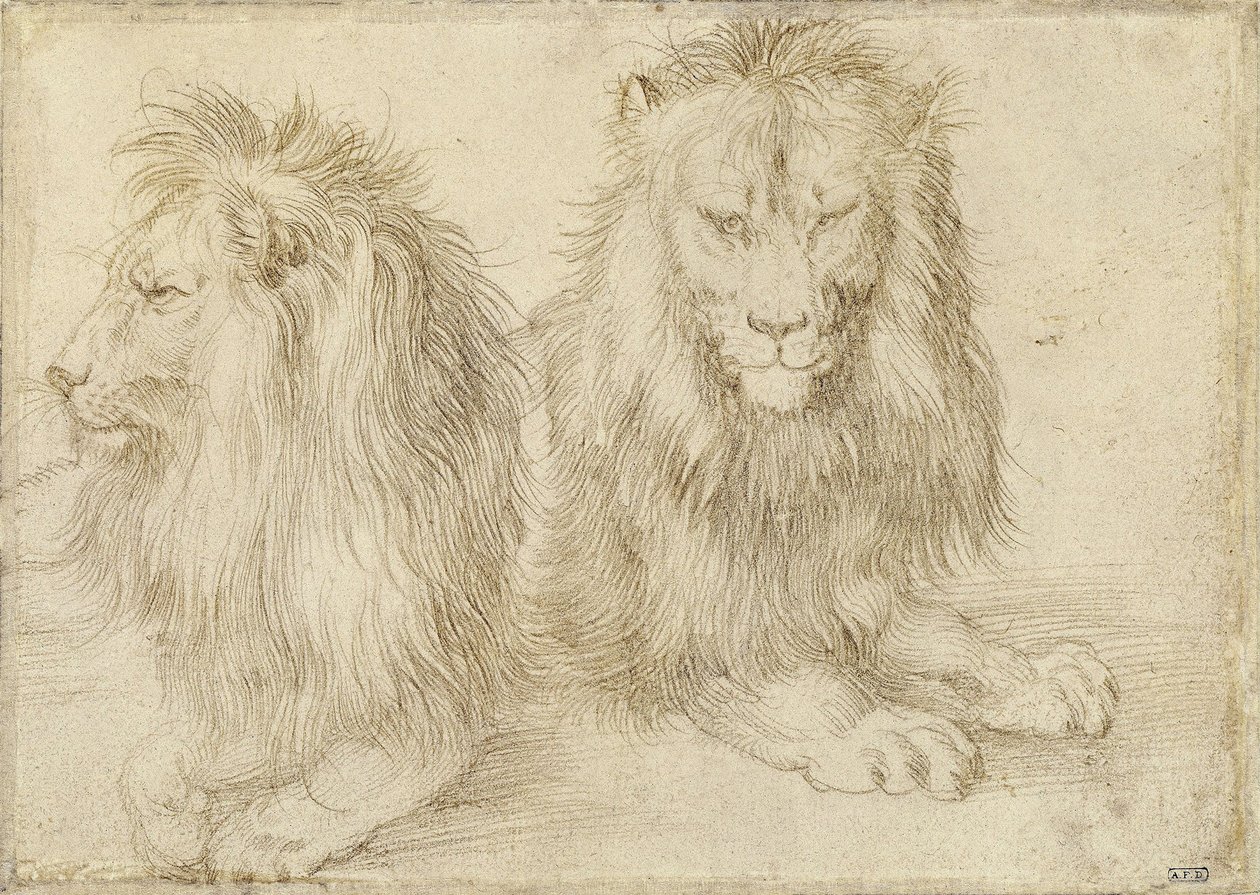 Kaksi istuvaa leijonaa, 1521 tekijältä Albrecht Dürer