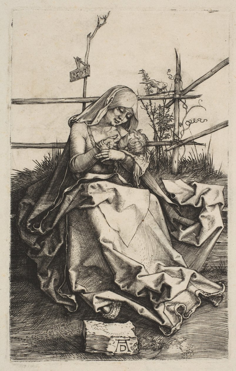 Neitsyt ja lapsi ruohopenkillä, 1503. tekijältä Albrecht Dürer