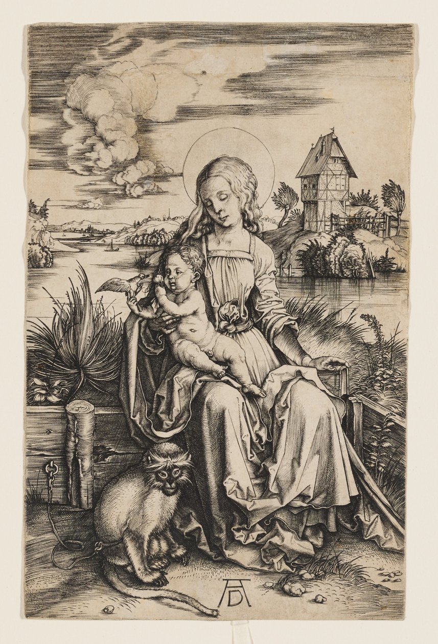 Neitsyt Maria ja lapsi apinan kanssa tekijältä Albrecht Dürer