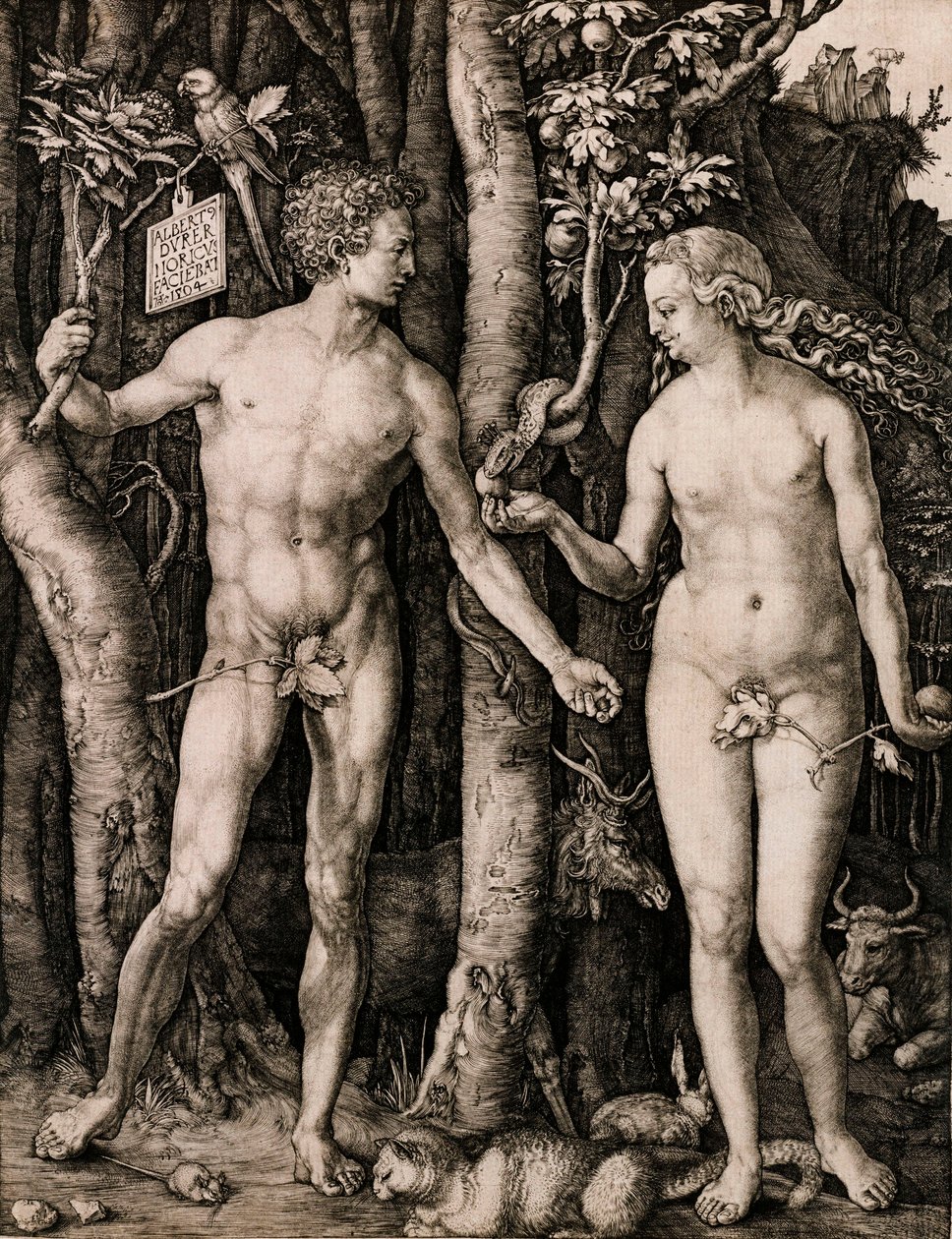Aatami ja Eeva tekijältä Albrecht Dürer