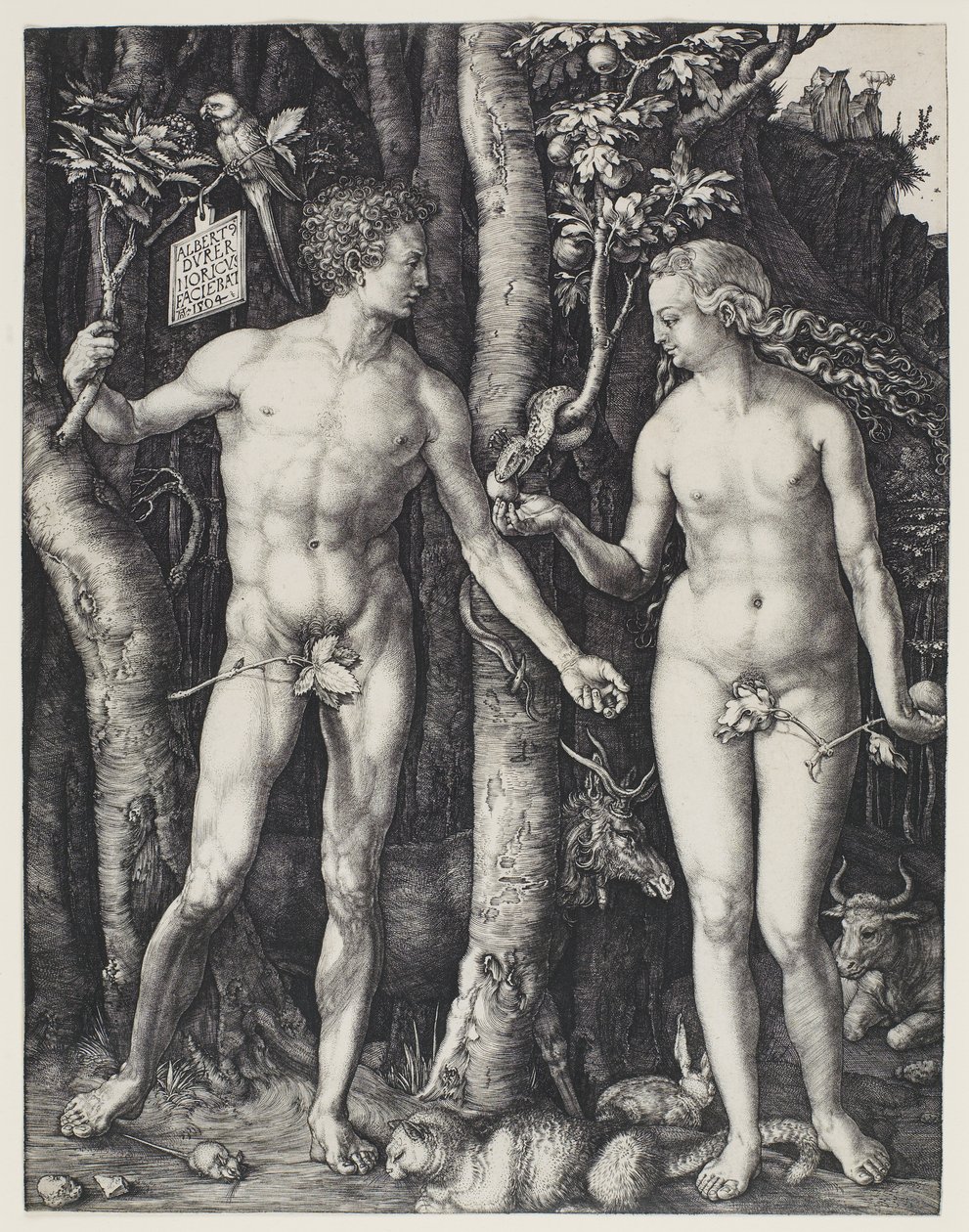 Aatami ja Eeva tekijältä Albrecht Dürer