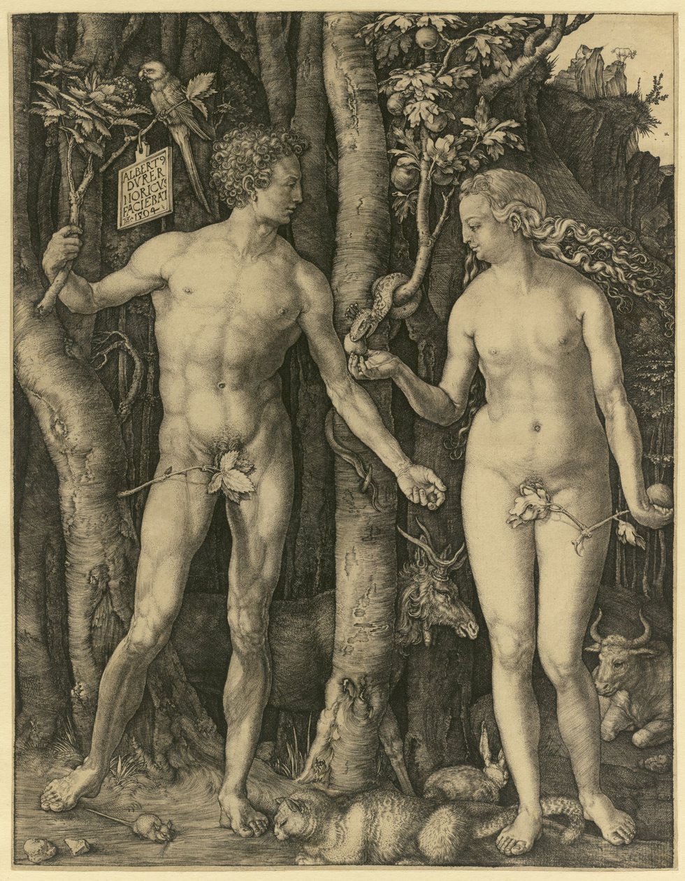 Aatami ja Eeva tekijältä Albrecht Dürer