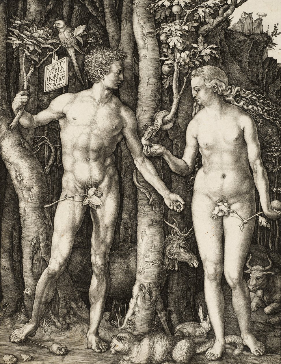 Aatami ja Eeva tekijältä Albrecht Dürer