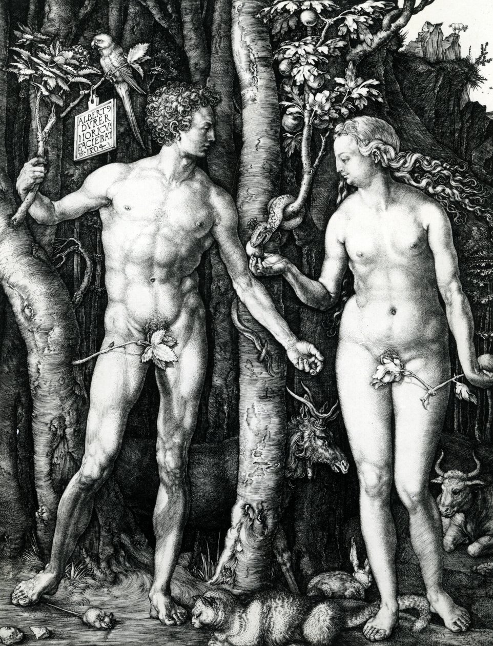 Aatami ja Eeva tekijältä Albrecht Dürer