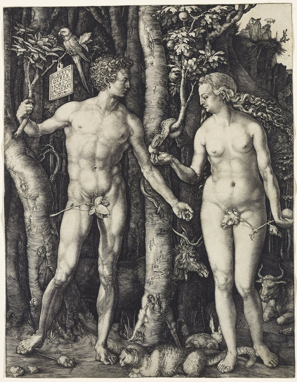 Aatami ja Eeva tekijältä Albrecht Dürer