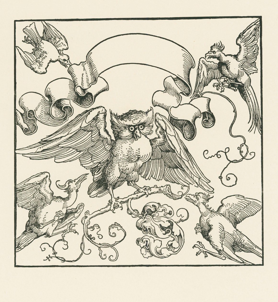Pöllö neljän muun linnun kimppuun hyökkäämässä, noin 1515 (puupiirros). tekijältä Albrecht Dürer or Duerer