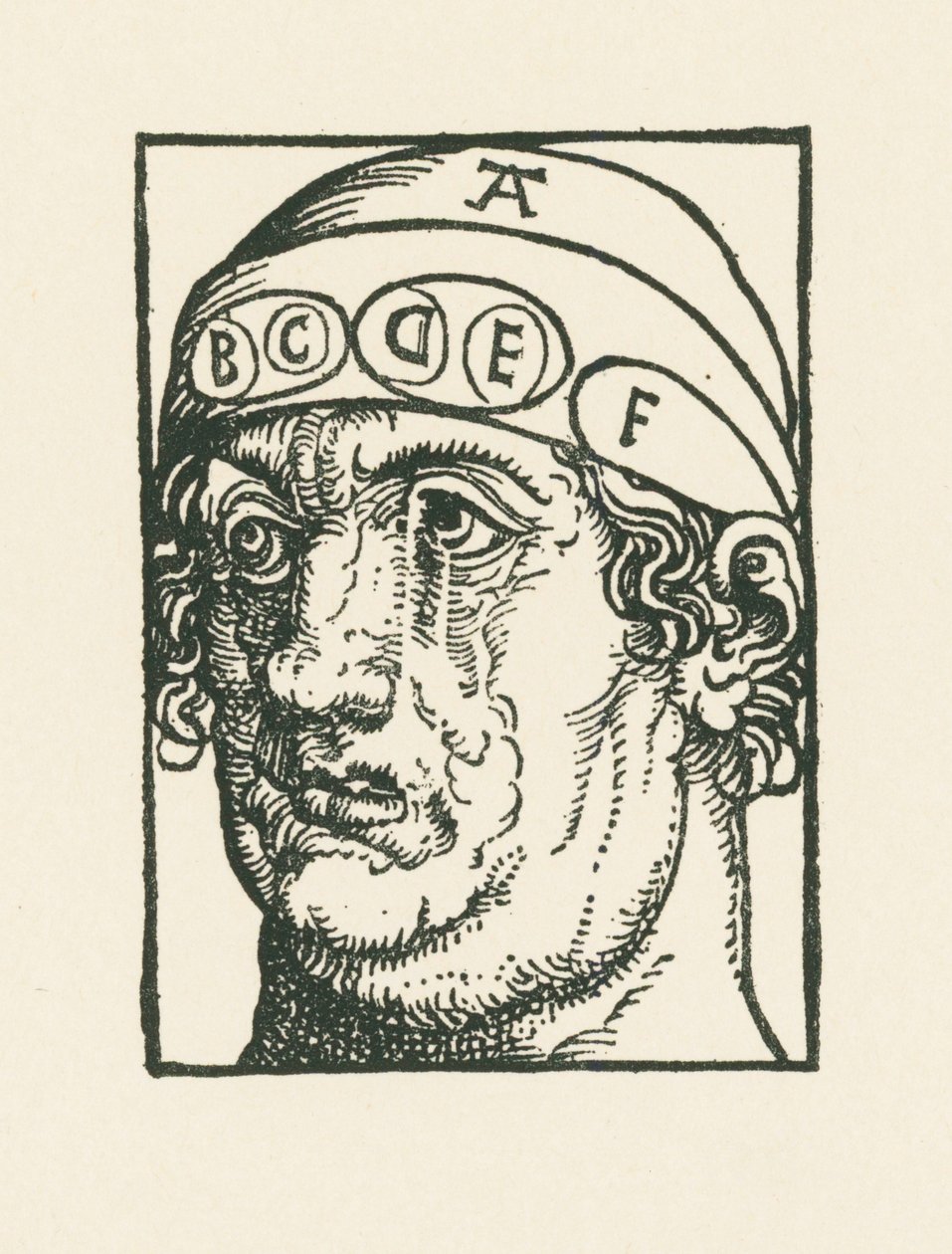 Caput pysicum - pää frenologian tutkimista varten. tekijältä Albrecht Dürer or Duerer