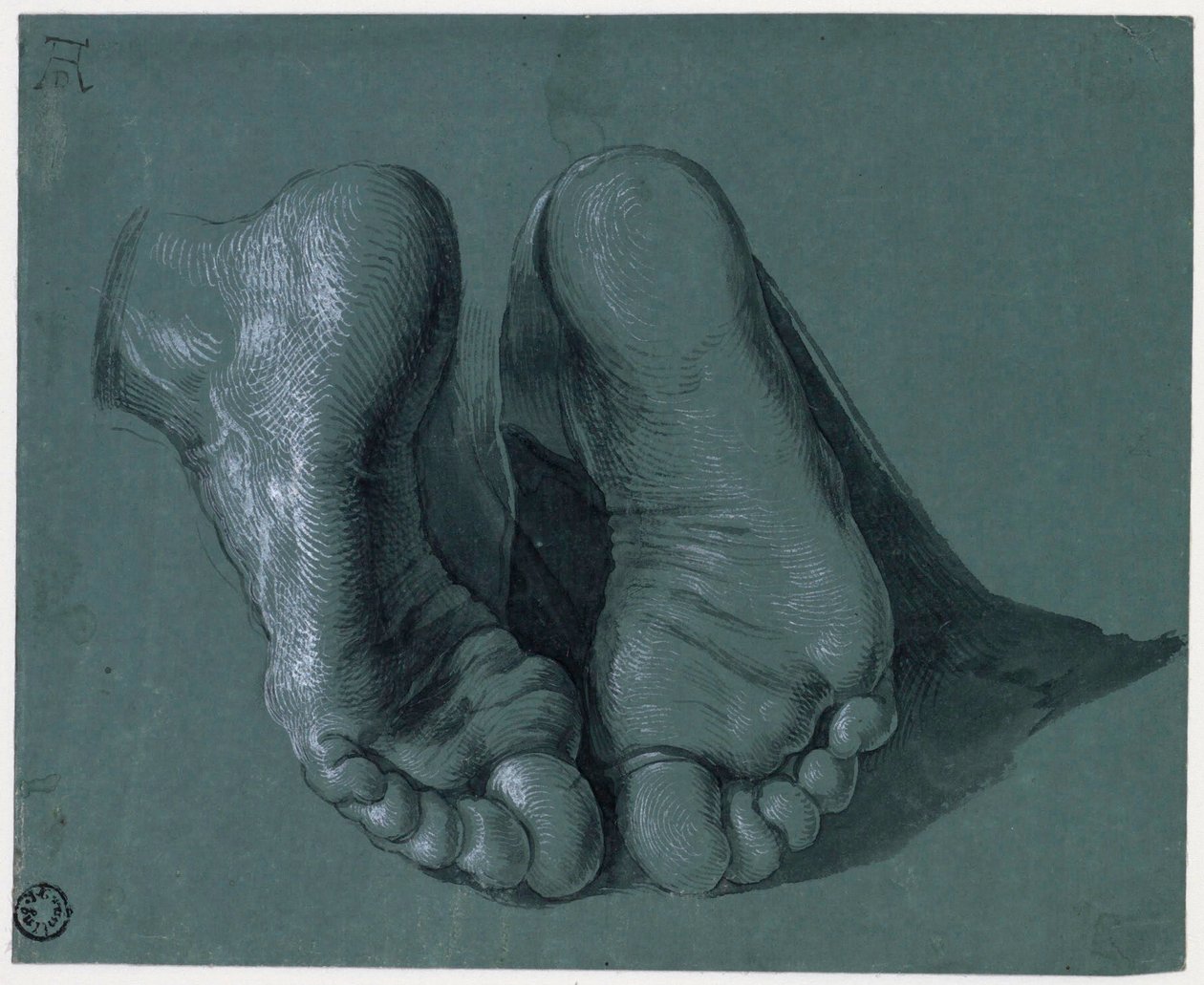 Etude de pieds - Tutkimus kahdesta jalasta - Albrecht Durerin (1471-1528) piirustus, akvarelli, valkoinen, musta liitu paperille, c1508 (17,6x21,6 cm) - Museum Boijmans Van Beuningen, Rotterdam tekijältä Albrecht Dürer