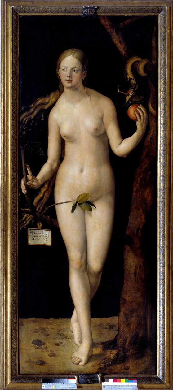Albrecht Durerin (1471-1528) Eve-maalaus, öljy puulle tekijältä Albrecht Dürer