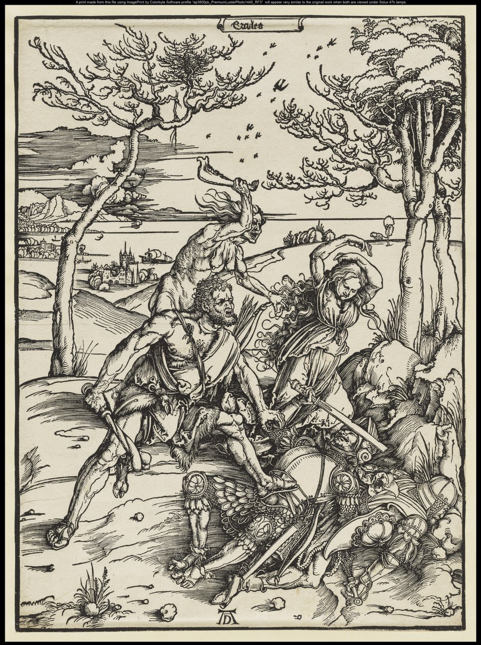  tekijältä Albrecht Dürer or Duerer