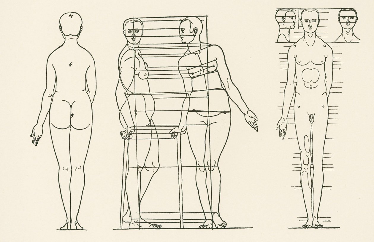 Kuvitus Albrecht Duererin teoksesta "Treatise on the Principles of Proportion". tekijältä Albrecht Dürer or Duerer