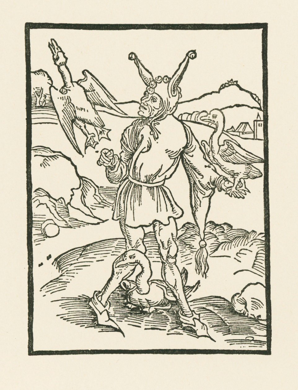Narr hur as vern tekijältä Albrecht Dürer or Duerer