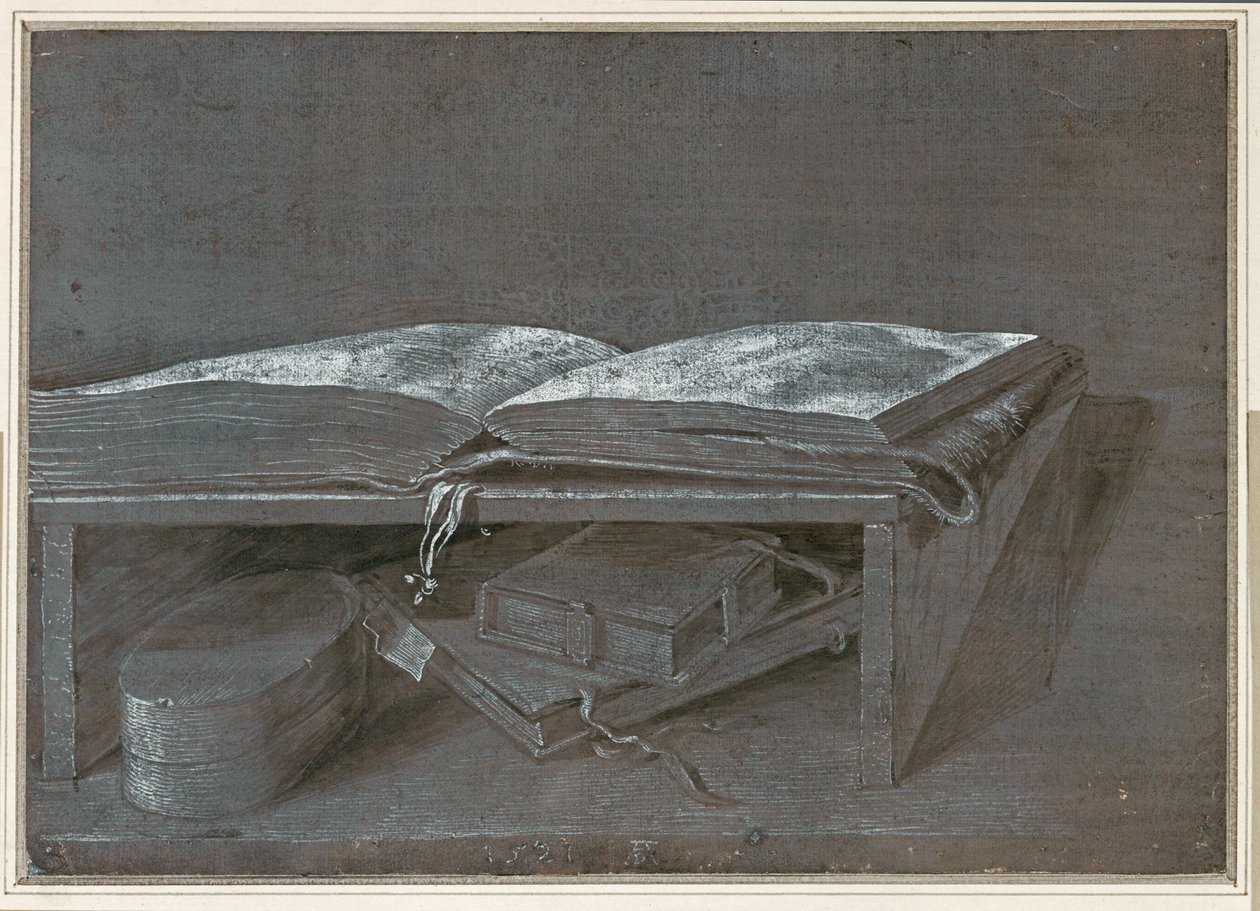 Avoin kirja (sivellinpiirustus ruskealle paperille) tekijältä Albrecht Dürer or Duerer