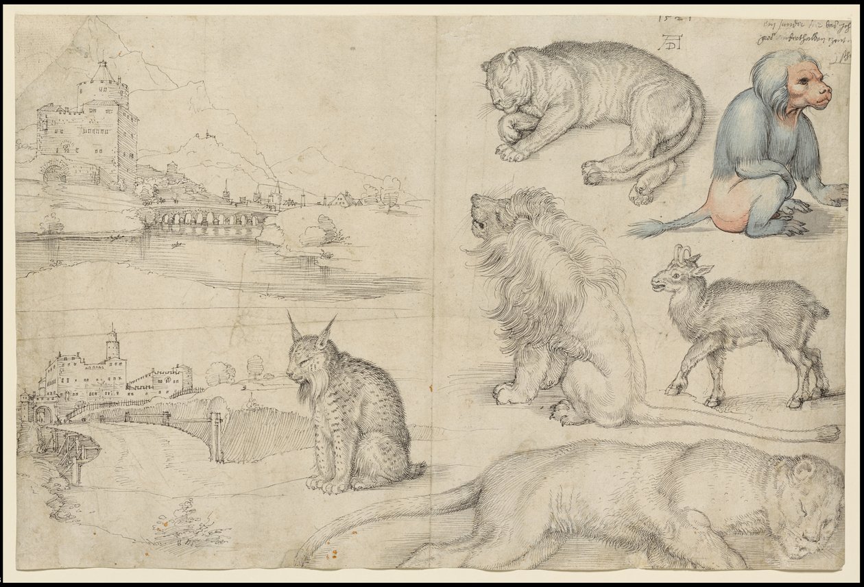 Luonnoksia eläimistä ja maisemista, 1521 tekijältä Albrecht Dürer