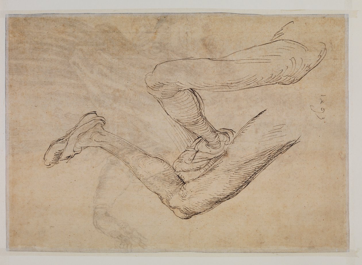 Vasemman jalan tutkimus kahdesta näkökulmasta tekijältä Albrecht Dürer