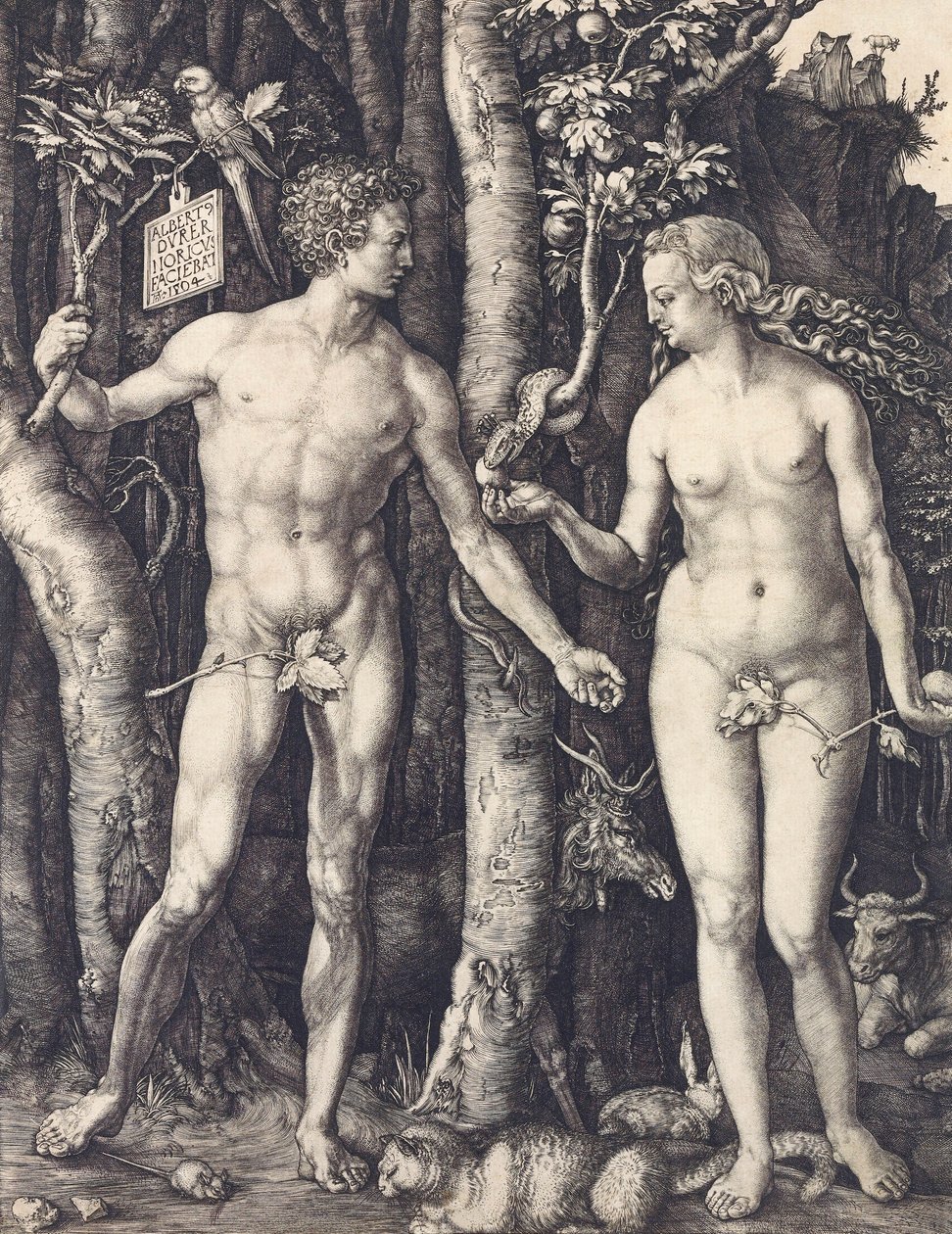Albrecht Durerin The Fall of Man tekijältä Albrecht Dürer