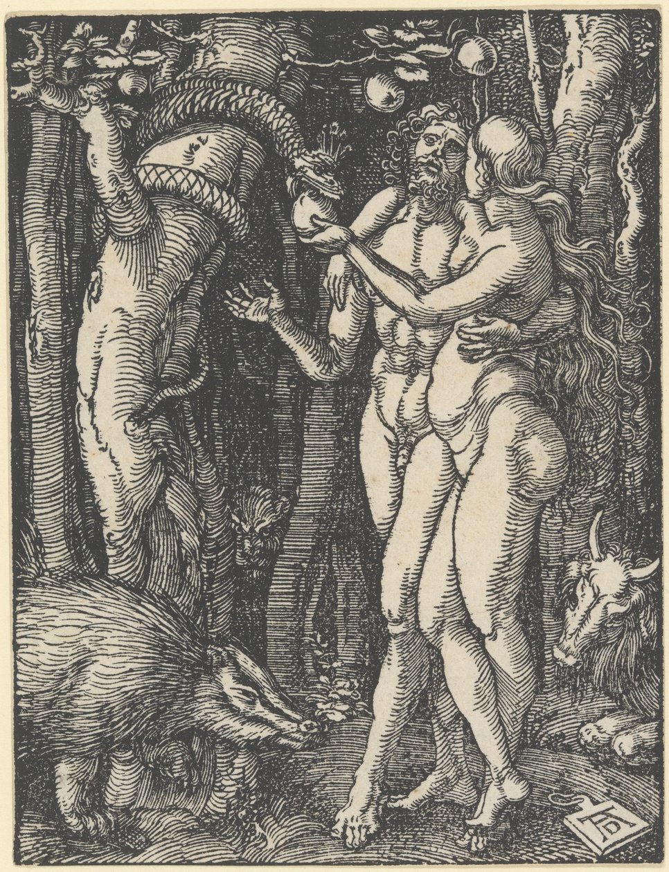 The Fall of Man, teoksesta "Pieni intohimo", n. 1510 (puupiirros) tekijältä Albrecht Dürer