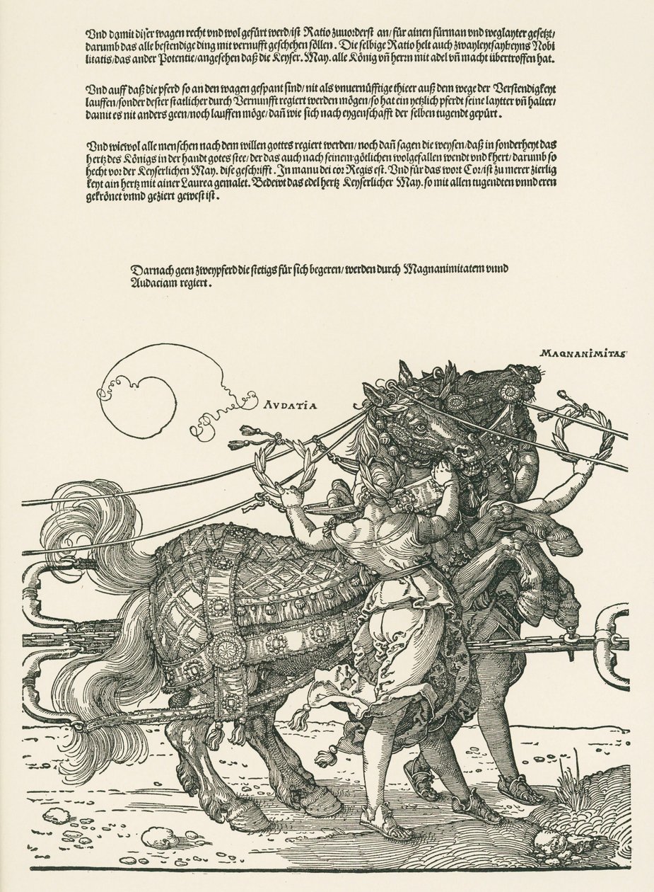 Suuri voittoauto tekijältä Albrecht Dürer or Duerer