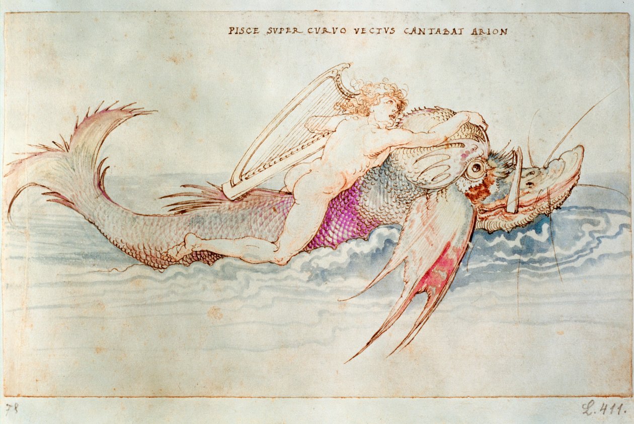 Kreikkalainen runoilija Arion delfiinin selässä, noin 1515 (akvarelli paperille). tekijältä Albrecht Dürer or Duerer
