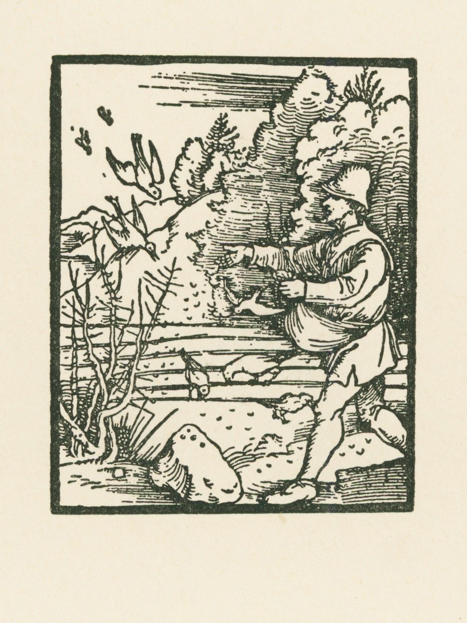 Vertaus kylväjästä tekijältä Albrecht Dürer or Duerer