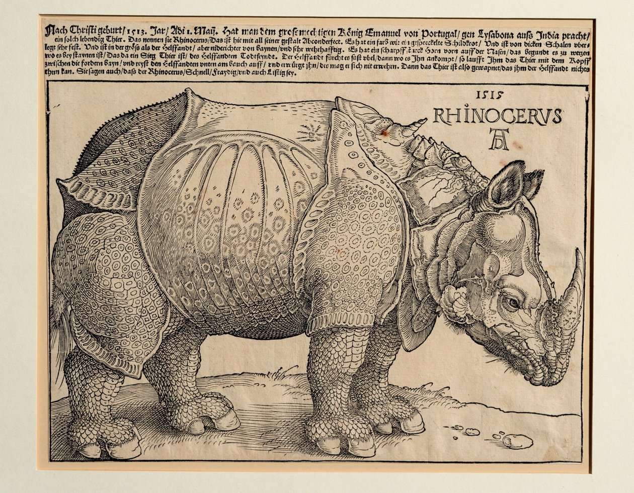 Sarvikuono tekijältä Albrecht Dürer or Duerer