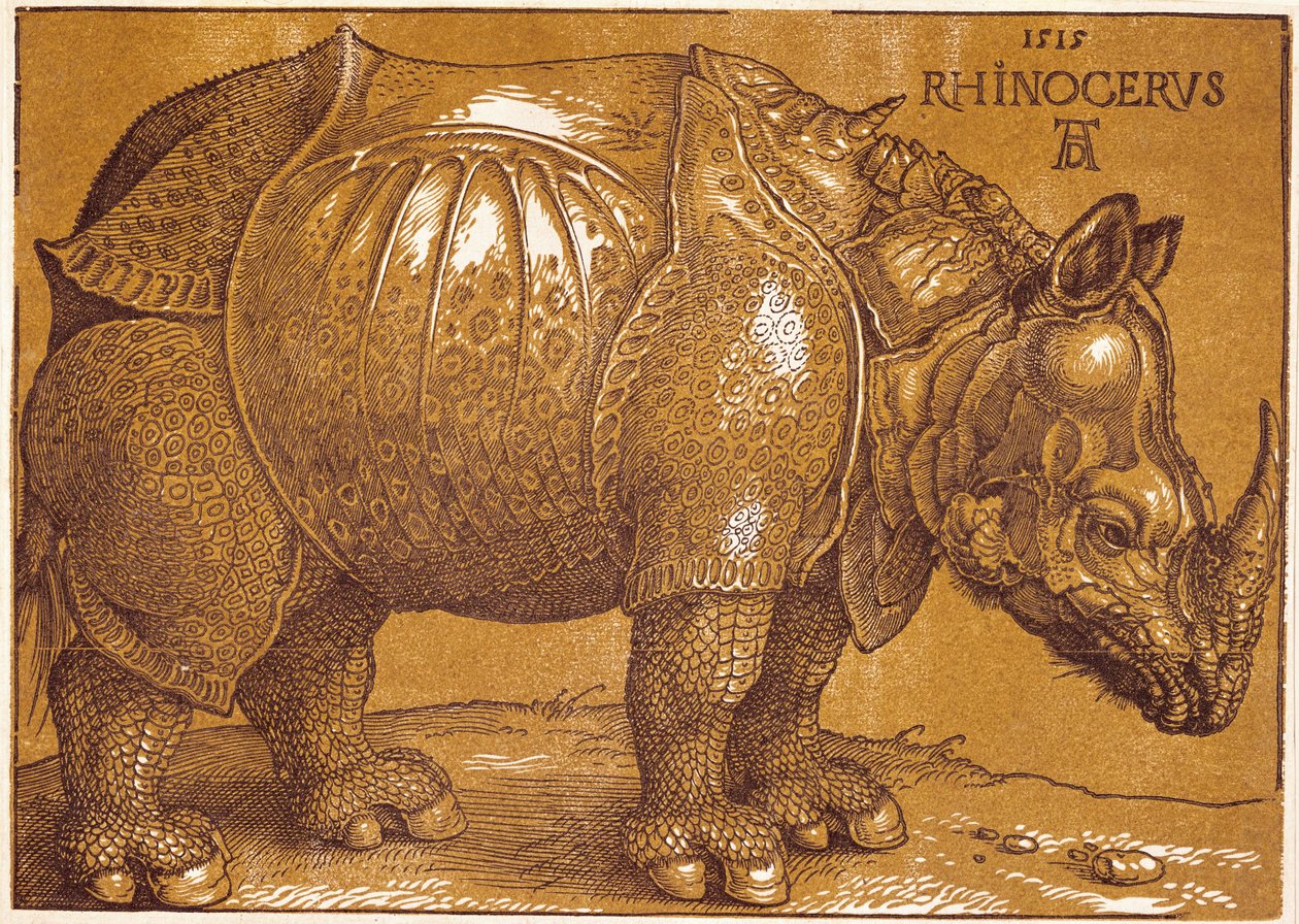 Sarvikuono tekijältä Albrecht Dürer or Duerer