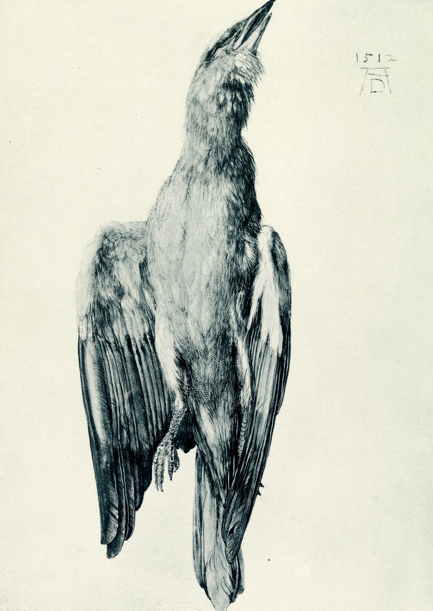 Kuollut sininen rulla tekijältä Albrecht Dürer