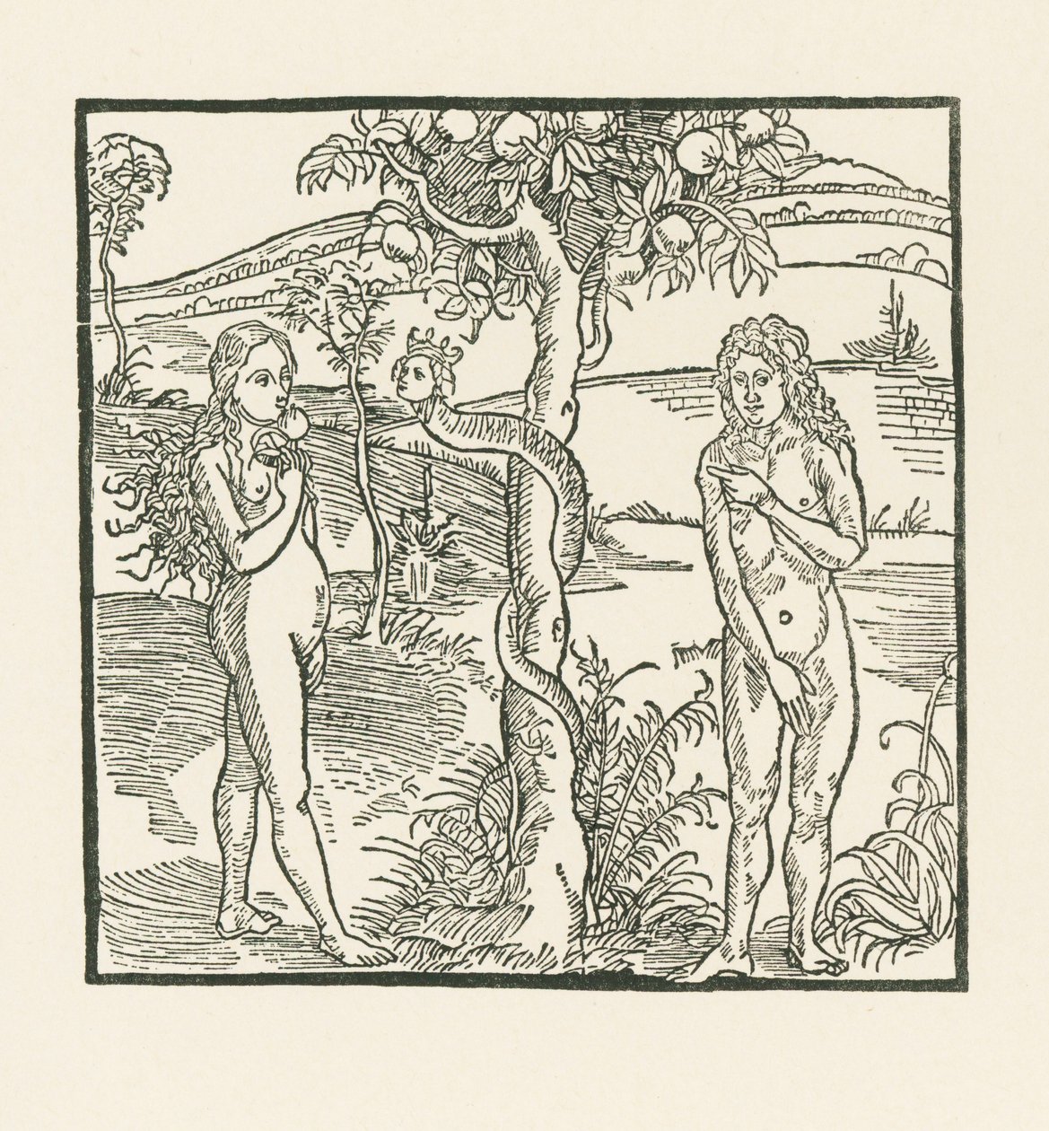 Putoaminen. Kuvitus teokseen " Der Ritter von Turn " , noin 1493-93 (puupiirros). tekijältä Albrecht Dürer or Duerer