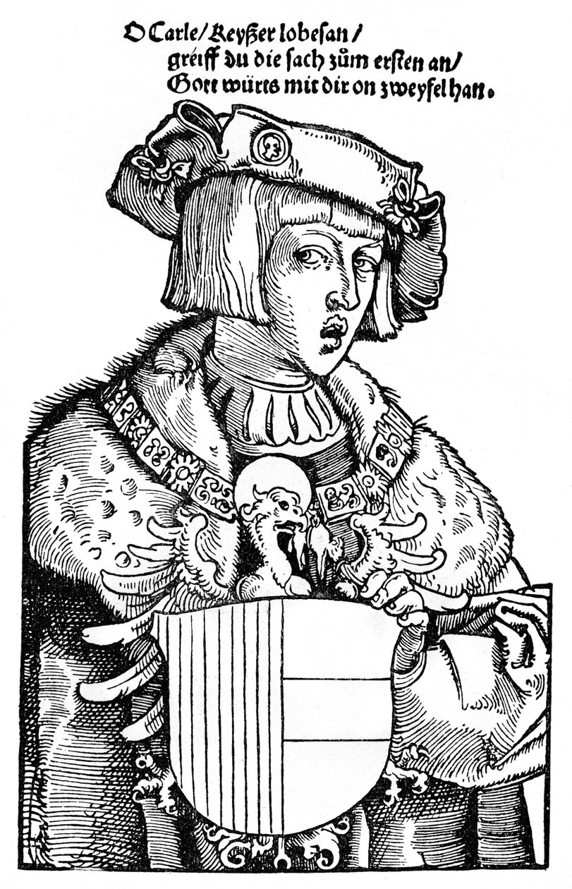 Nuori Charles V tekijältä Albrecht Dürer