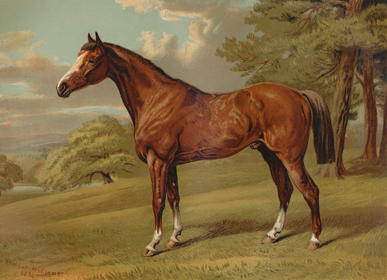 "Stilton A Hunter", 1879. tekijältä Aldfred Sheldon Williams
