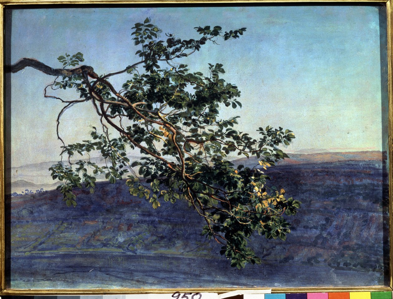 ""La branche"" Peinture de Alexander Ivanov (1806-1858) 1840-1850 valtion Tretjakovin galleria, Moskova tekijältä Aleksandr Andreevich Ivanov