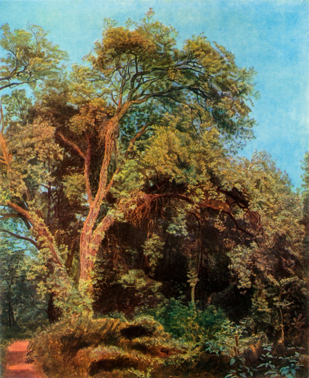 Puu puistossa, 1800-luvun puoliväli, 1965. tekijältä Aleksandr Ivanov
