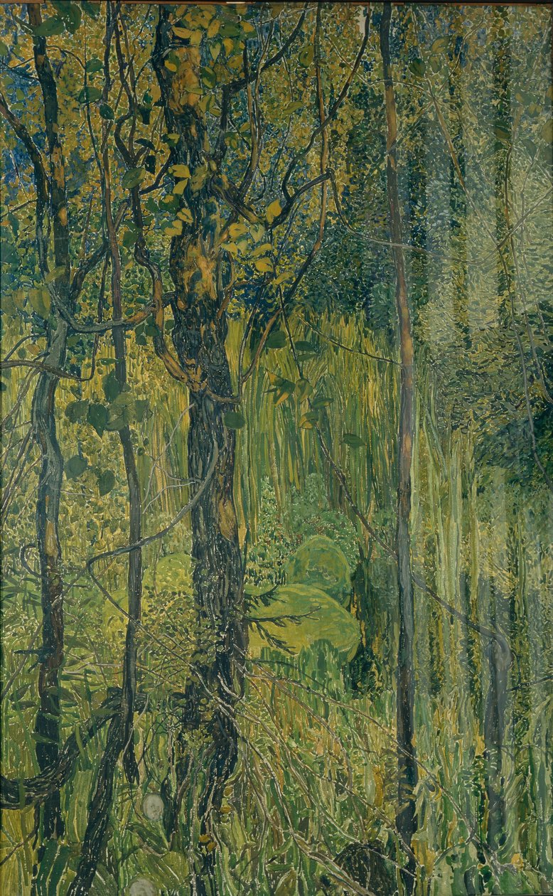 Suometsä, 1917 tekijältä Aleksandr Jakovlevic Golovin