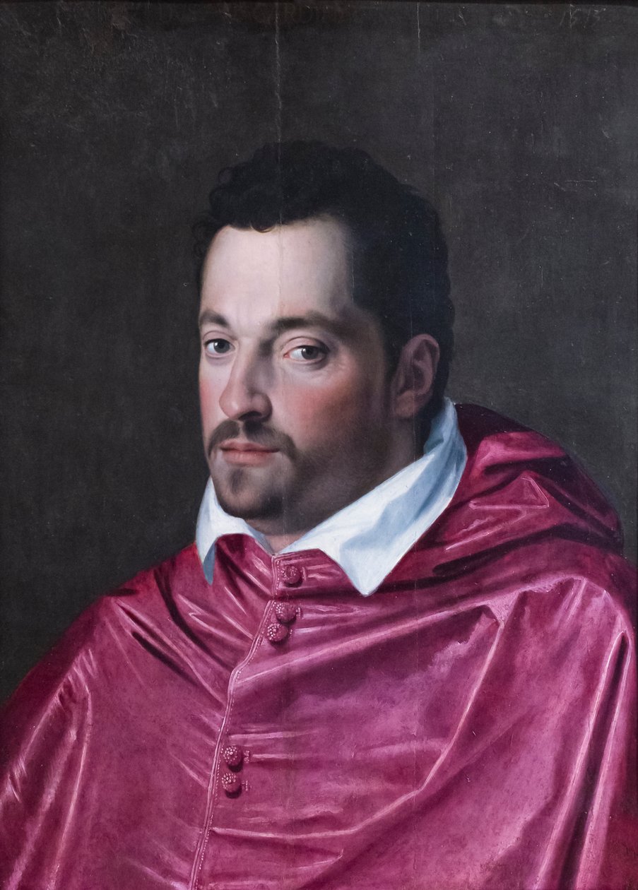 Kardinaali Ferdinando Medicin muotokuva tekijältä Alessandro Allori