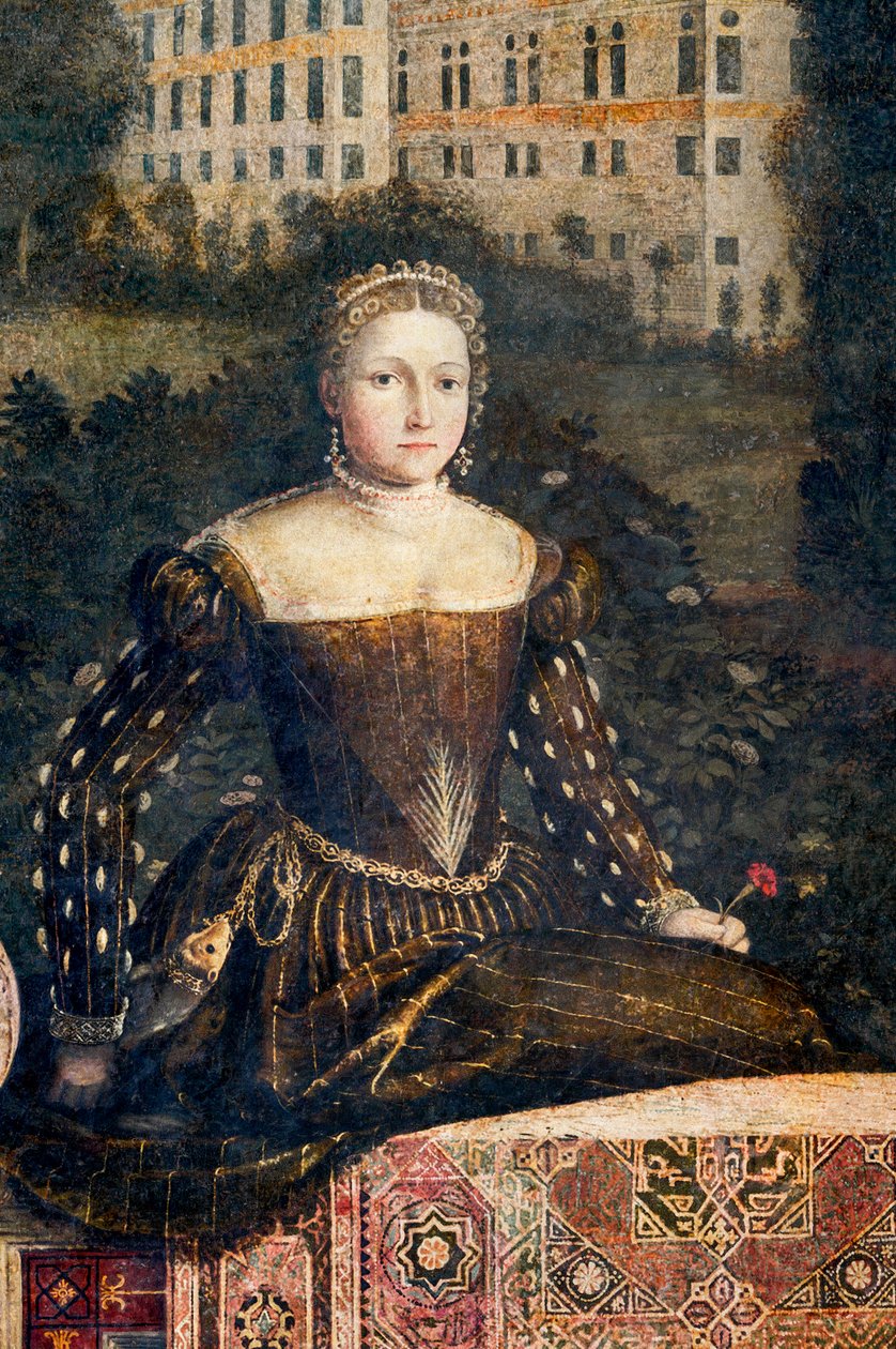 Aatelisen naisen muotokuva, yksityiskohta aatelisnaisten pienestä huoneesta (seinille liimattu öljy kankaalle) tekijältä Alessandro Bonvicino Moretto