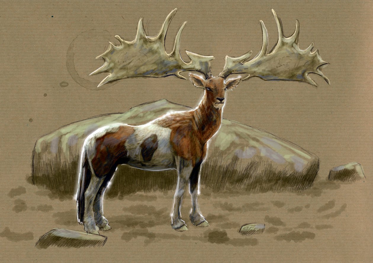 Upeita hirviöitä ja olentoja, kryptozoologia: hippocerfin esitys - Alessandro Lonatin piirustus, 2012 tekijältä Alessandro Lonati