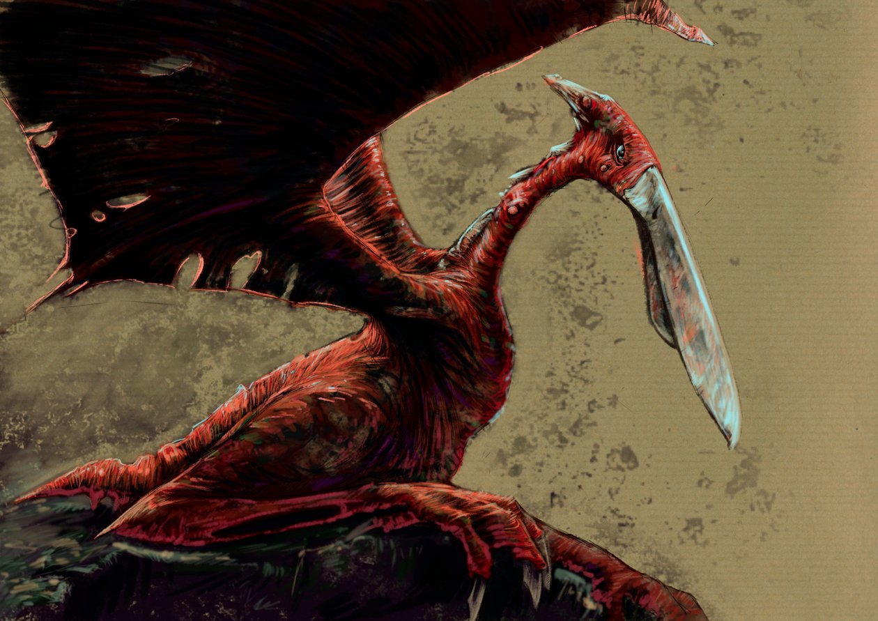 Upeita hirviöitä ja olentoja, kryptozoologia: kongamato, haihtuva pterosauruksen kaltainen olento, jonka sanotaan nähneen Mwinilungan alueella Länsi-Sambian Jiundun suoilla - piirros Alessandro Lonati, 2012 tekijältä Alessandro Lonati