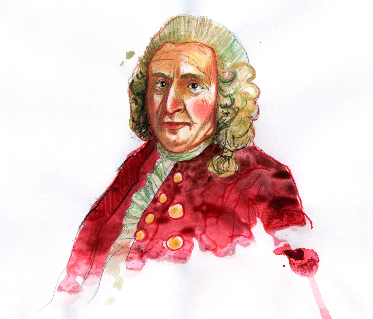 Carl Linnaeuksen muotokuva sitten Carl von Linnen (1707-1778) ruotsalainen luonnontieteilijä (Carl Linnaeuksen muotokuva) tekijältä Alessandro Lonati