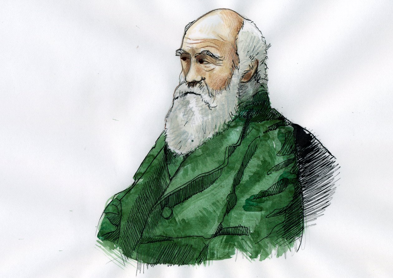 Retrato de Charles Darwin - Retrato do naturalista inglês Charles Darwin (1809-1882) Illustrationfinnish tekijältä Alessandro Lonati
