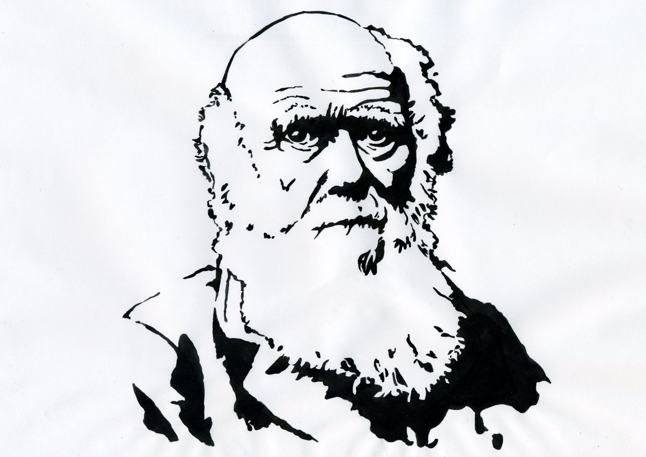 Charles Darwinin muotokuva - englantilaisen luonnontieteilijän Charles Darwinin (1809-1882) muotokuva. tekijältä Alessandro Lonati