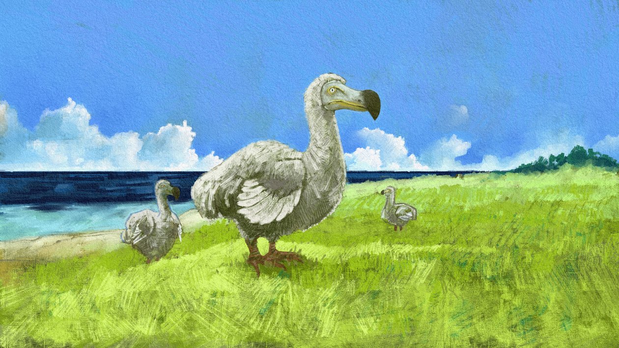 Esitys sukupuuttoon kuolevasta dodo-linnusta (kuva) tekijältä Alessandro Lonati