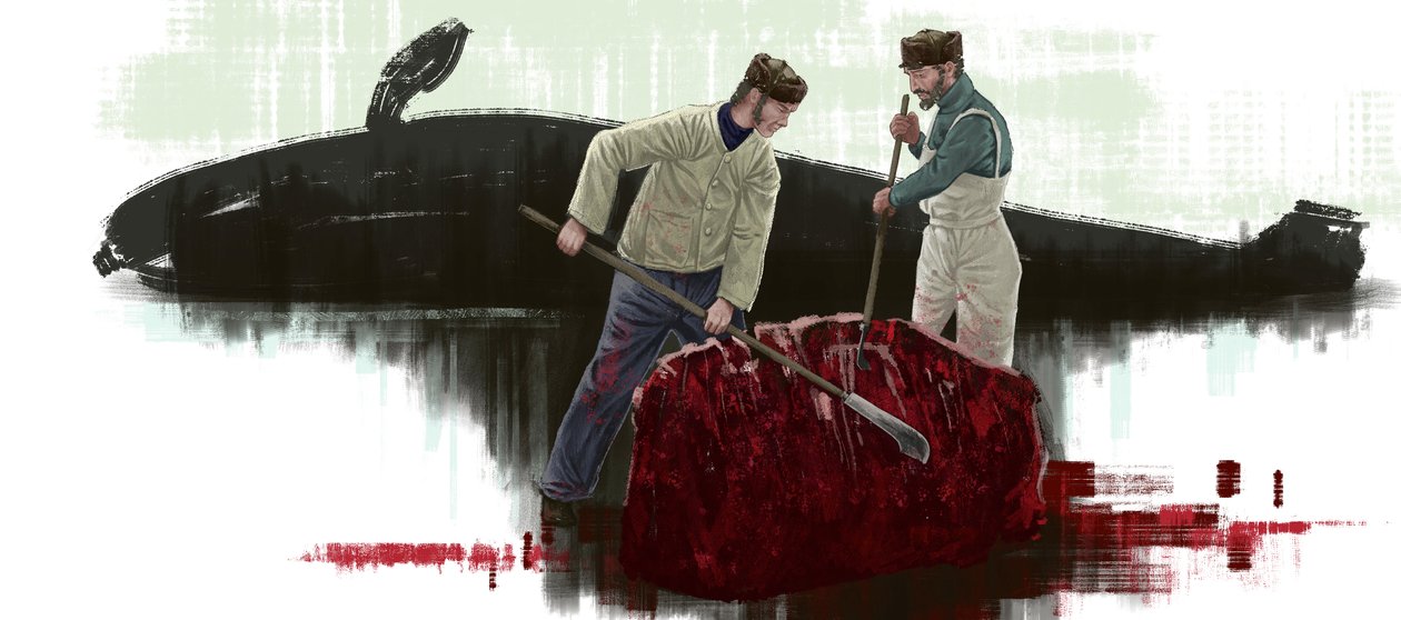 Kaksi valasta leikkaamassa valaan tekijältä Alessandro Lonati