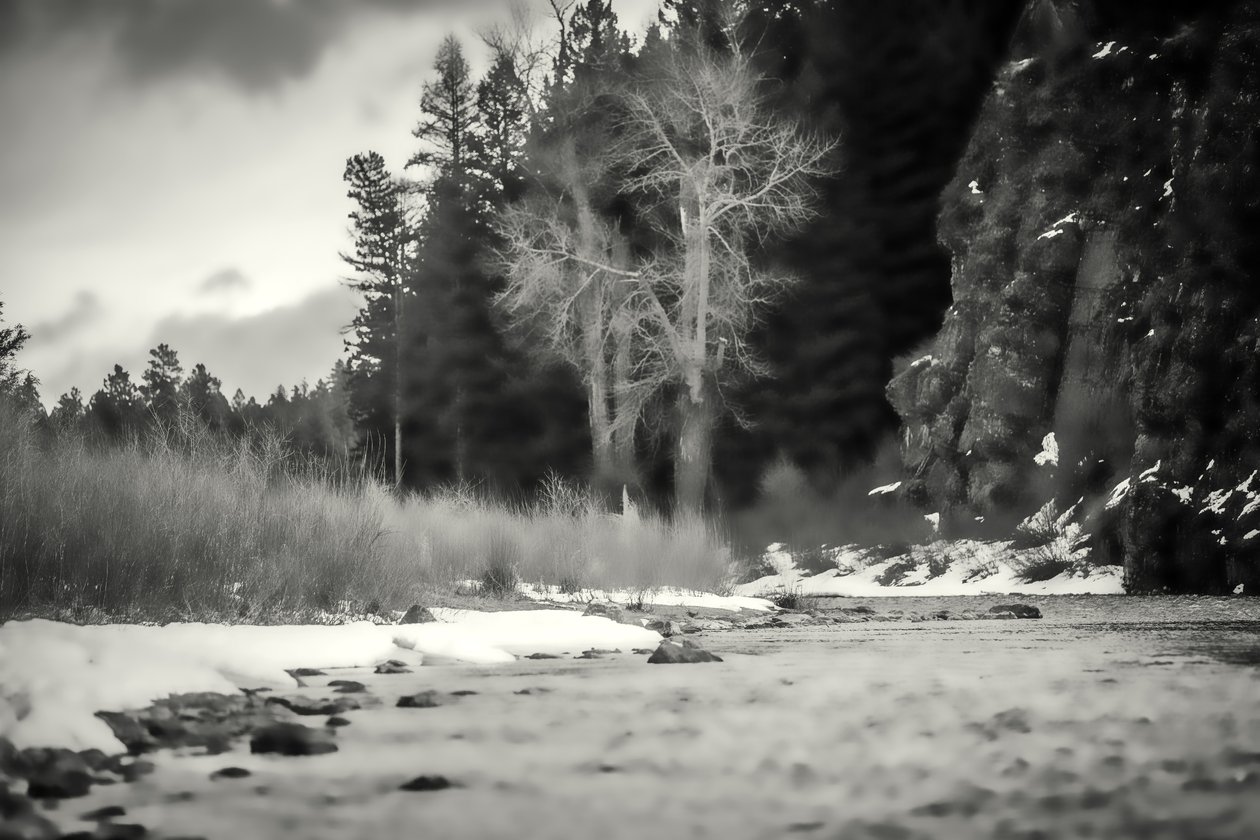 aksentit, 2019, (valokuvaus) tekijältä Alex Caminker