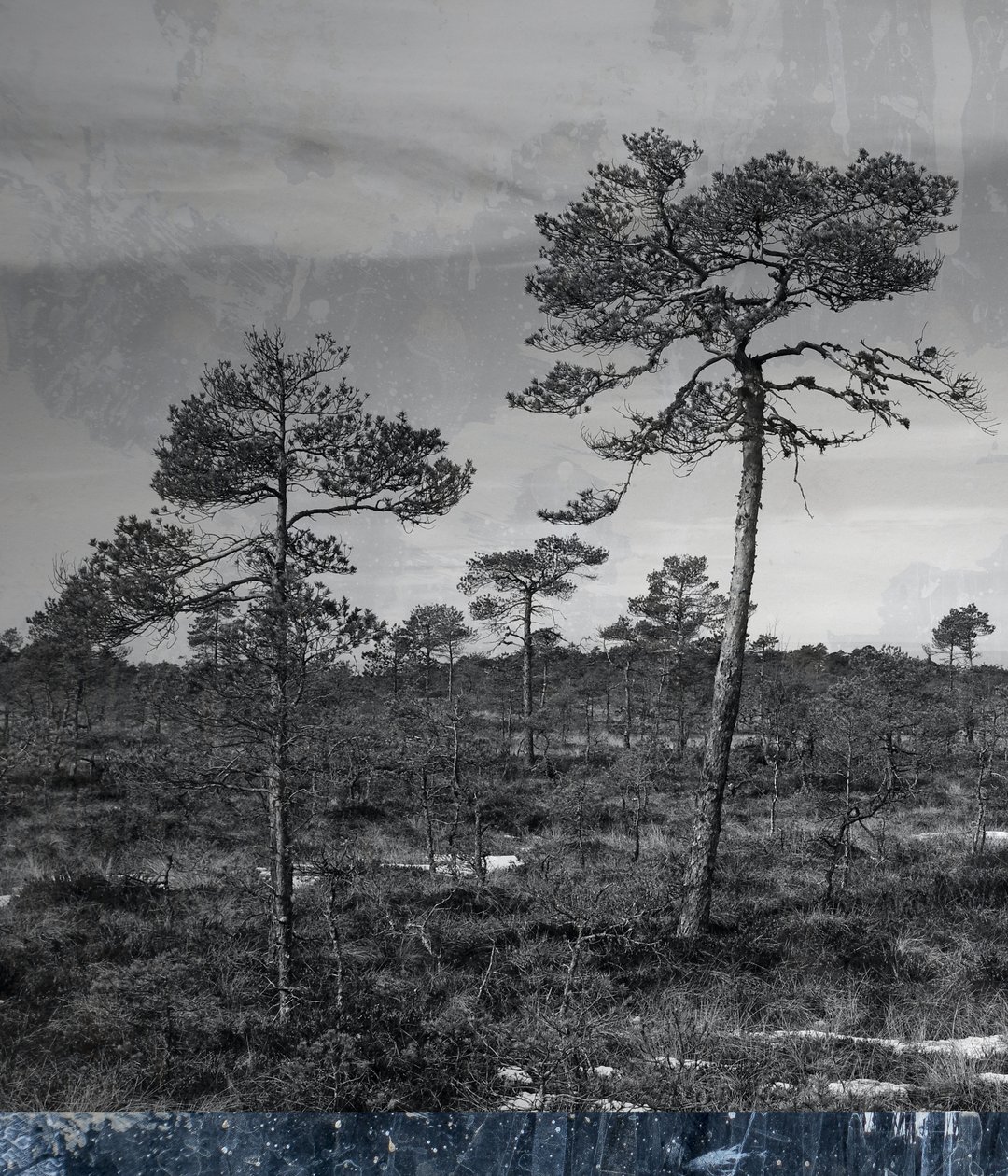 sininen maanalainen, 2019, (sekoitettu media) tekijältä Alex Caminker
