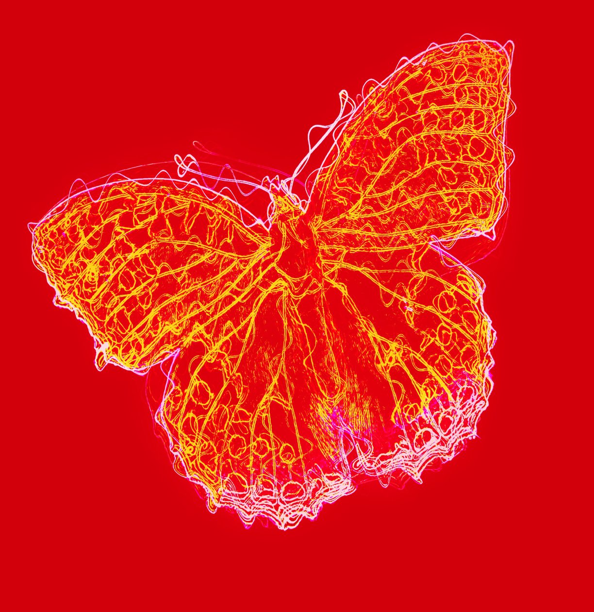 butterfly III, 2020, (sekoitettu media) tekijältä Alex Caminker