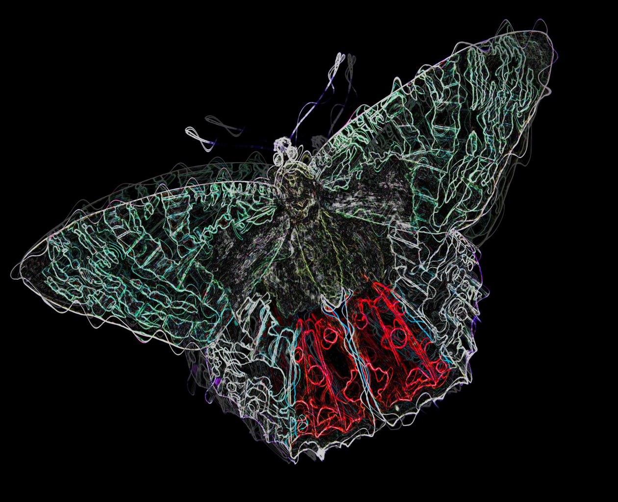 butterfly V,2020,(sekoitettu media) tekijältä Alex Caminker