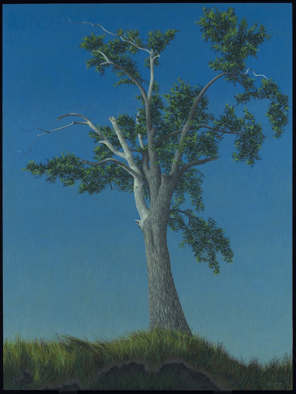 Elm Tree at Horton Landing tekijältä Alex Colville