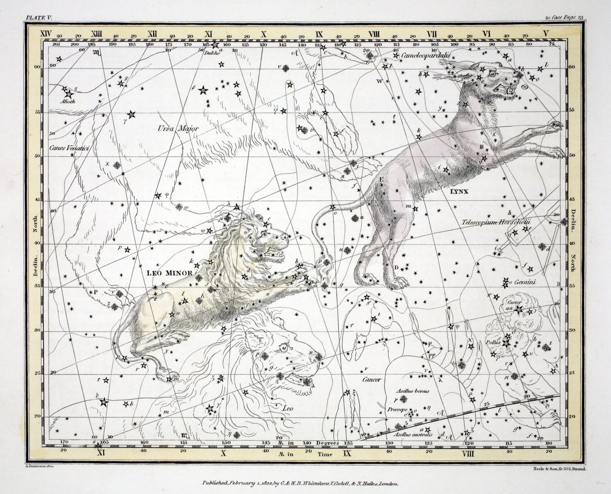 Tähtikuviot (levy V) Lynx, Leo Minor, Alexander Jamiesonin julkaisemasta "A Celestial Atlas", pub. Lontoo 1822 (käsin väritetty kaiverrus); tekijältä Alexander Jamieson